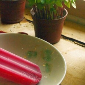 春虫天然手作冰棒12支